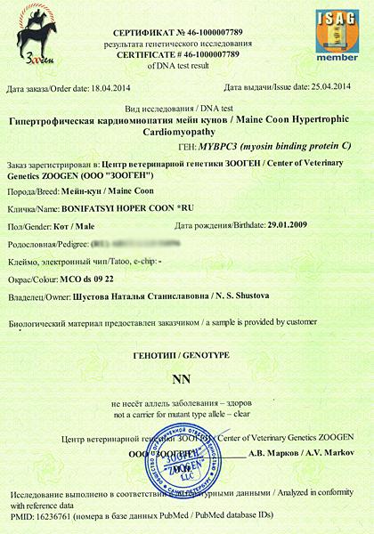 Боня сертификат HCM