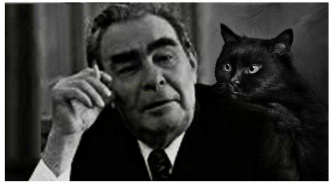 Черный кот-оберег  Брежнева