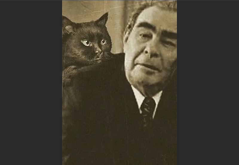 Черный кот-оберег  Брежнева