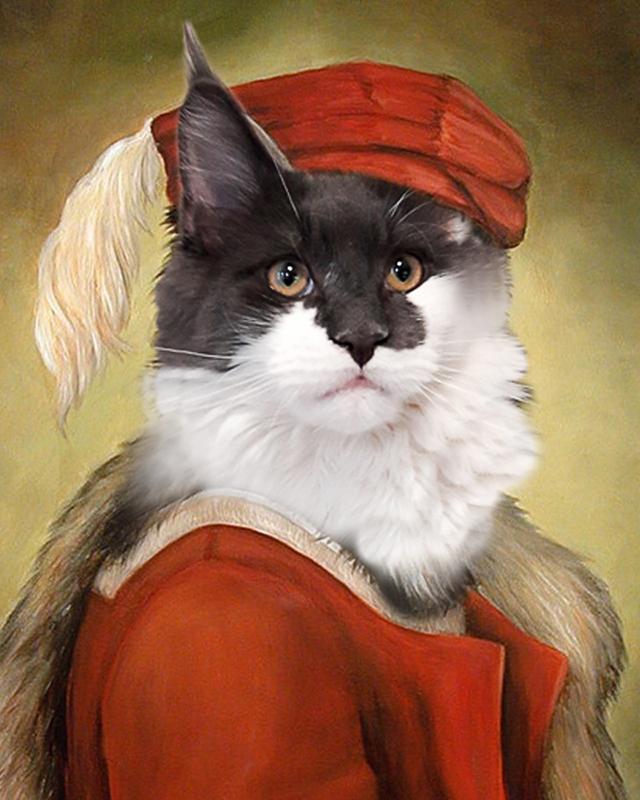 Кот мейн-кун в шляпе